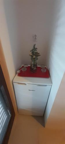 Hostal Guest House Ruzica