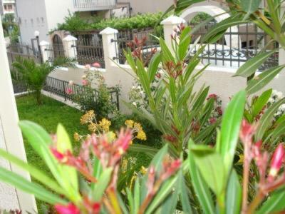 Hostal Apartmani Vedrana