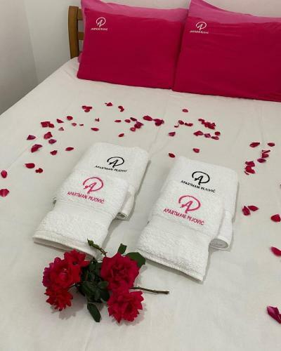 Hostal Apartmani Pejovic Sutomore