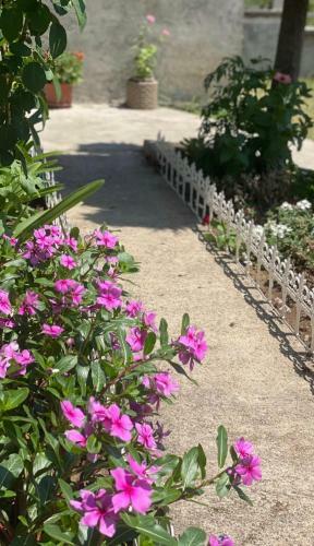 Hostal Apartmani Pejovic Sutomore