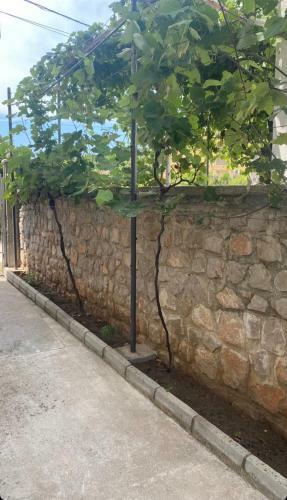 Hostal Apartmani Pejovic Sutomore