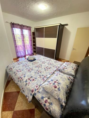 Hostal Apartments Andrea