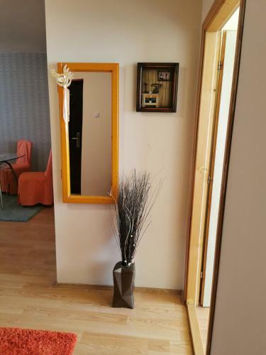 Apartman Stanimirovi?