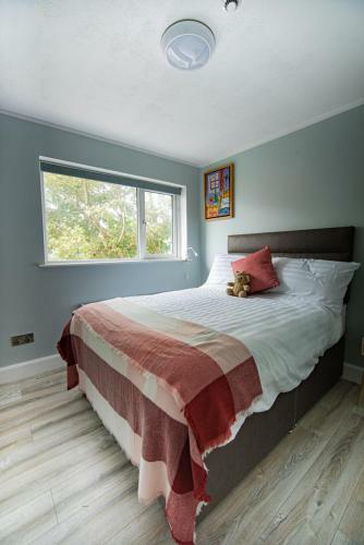 Bed & Breakfast Half Door House