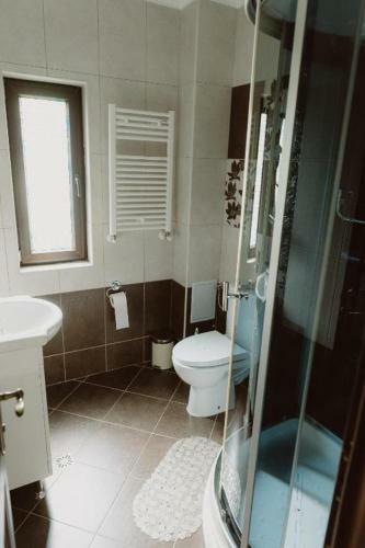 Hostal Vila Alsace Podu' Cu Lanturi