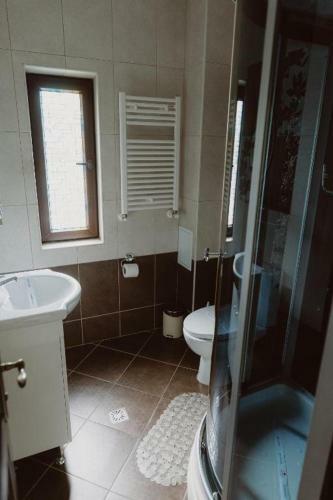 Hostal Vila Alsace Podu' Cu Lanturi