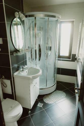 Hostal Vila Alsace Podu' Cu Lanturi