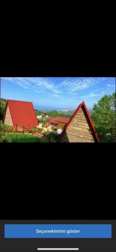 Antikhouse Bungalow&cafe