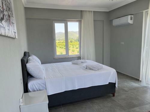 Villa Dream House