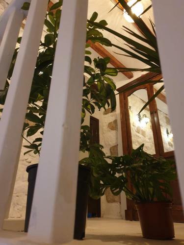 Hotel Nadide Ala�at? Breakfast&room