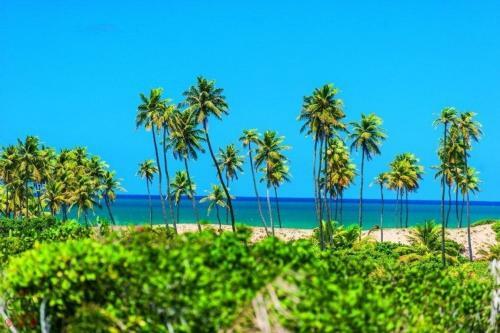 Apartamento No Villa Da Enseada Em Praia Do Forte