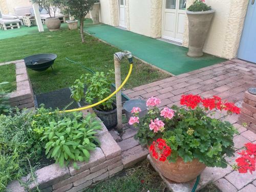 Monro Apartm�nik S Atmosf�rou