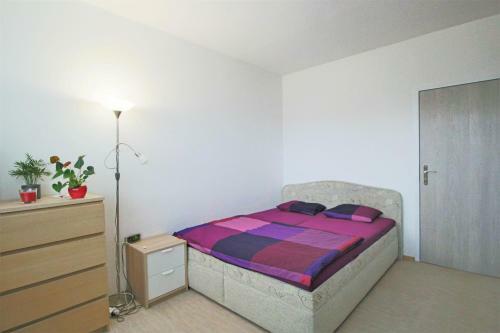 Cozy, Bright Room With Free Parking