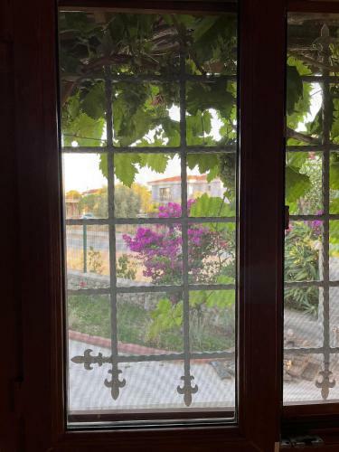 Cozy House In �e?me, Super Host