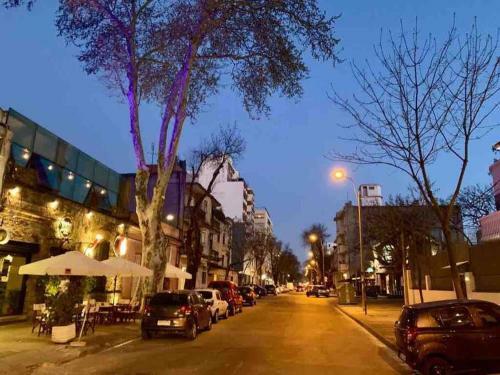 Amplio Y Moderno Apartamento En Coraz�n De Pocitos