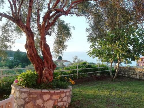 Hostal Villa Bambas Resort