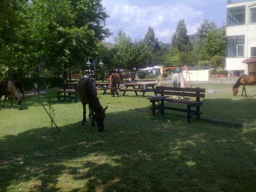Agriani Hotel