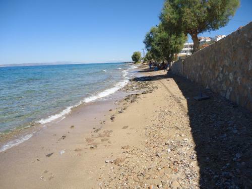 Apartamento Studio Mare