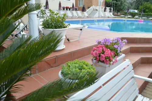 Nikos Apartments