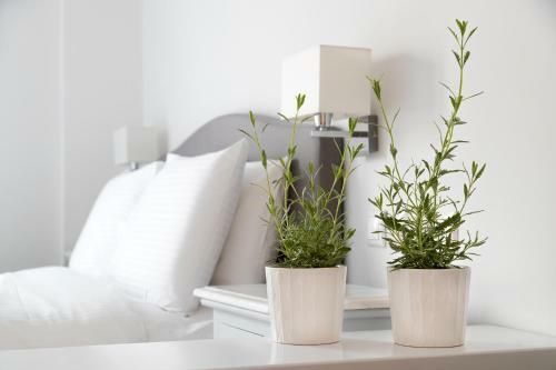 Apartamento Guesthouse Niriides
