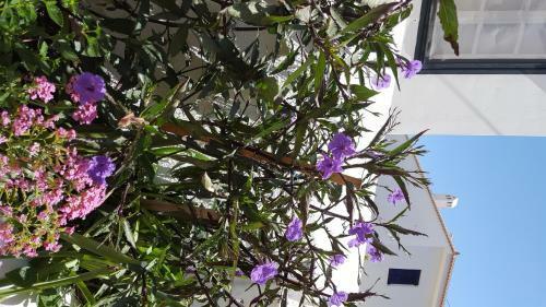 Apartamento Guesthouse Niriides