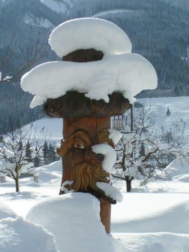 Agroturismo Herzoghof