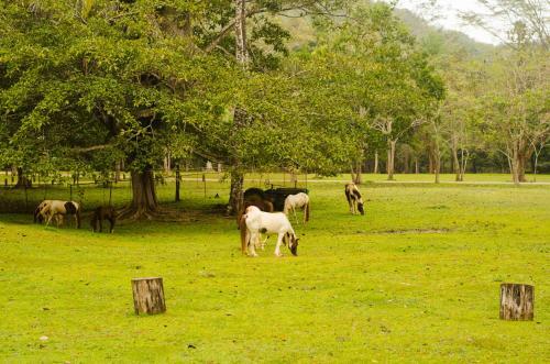 Lodge Parque Natural Ixpanpajul