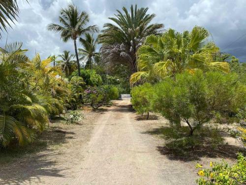 Bungalow Coco Des Sables Proche Plage Et Lagon