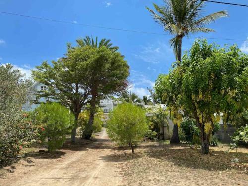 Bungalow Coco Des Sables Proche Plage Et Lagon