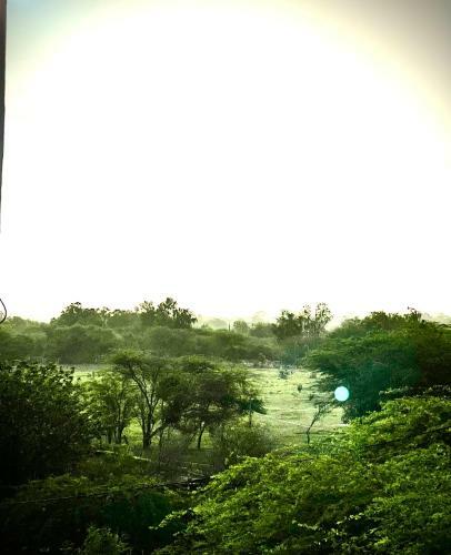 Private Villa With Pool In Ngaparou Senegal