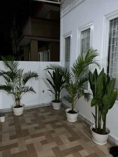 La Casa Arin