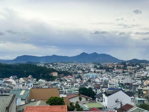 Hotel Q's House Dalat