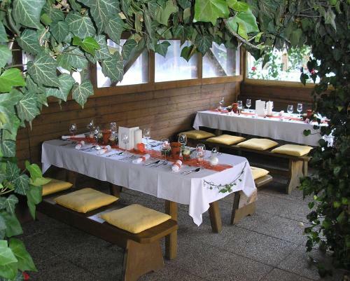Hostal Nattererboden