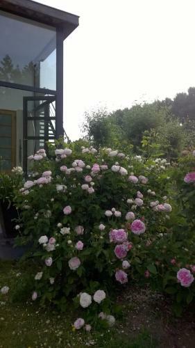 B&B Hier En Nu