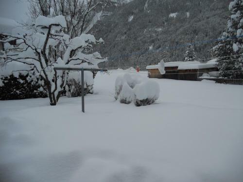 Apartamento Haus Renate Frischmann