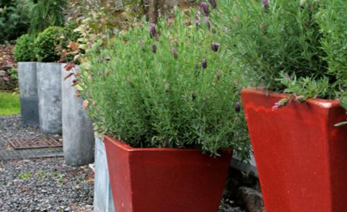 Les Sources Coquelicots