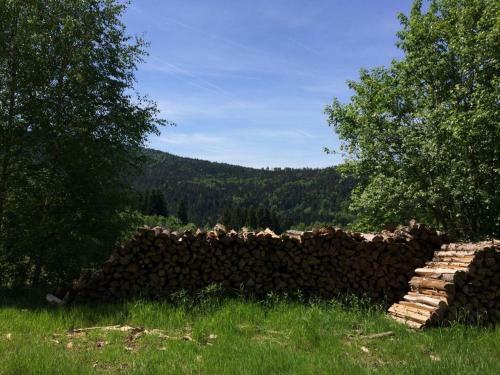 Apartamento Ferienwohnung Gut Eschlsaign