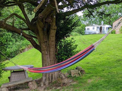 Bed & Breakfast Worralls Grove Airstream