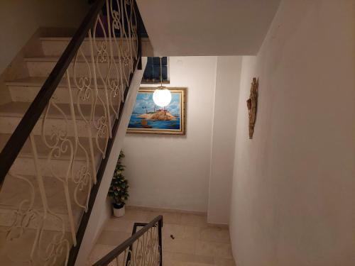 Apartments Zoran