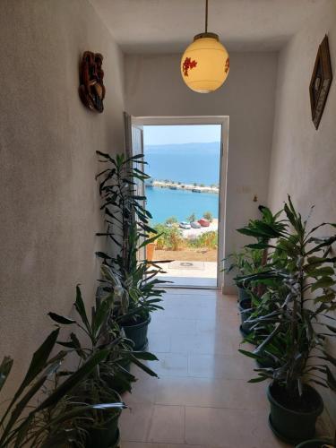 Apartments Zoran