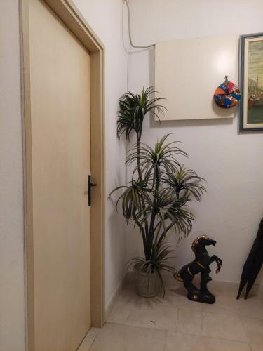 Apartments Zoran