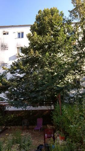 Apartamento Casa Cu Tei