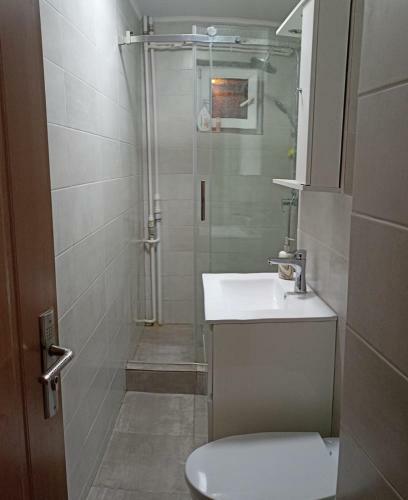 Biscu Zisu Apartments