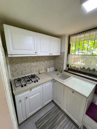 Holiday Apartment