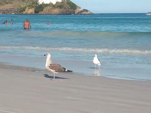 Su�te Aconchegante Independente A 8min Da Praia Do Forte