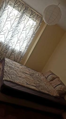 Hostal Four Seasons Apartment