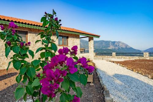Villa Teras