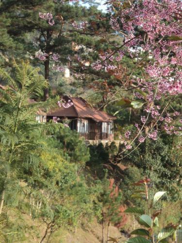 Hotel Osaka Village Dalat