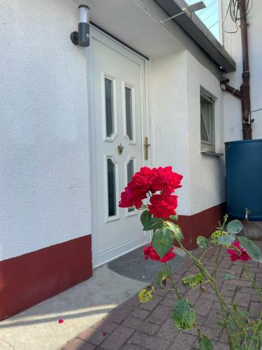Apartamento Ostermanns Appartment