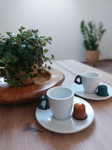 Lednick� Apartm�n